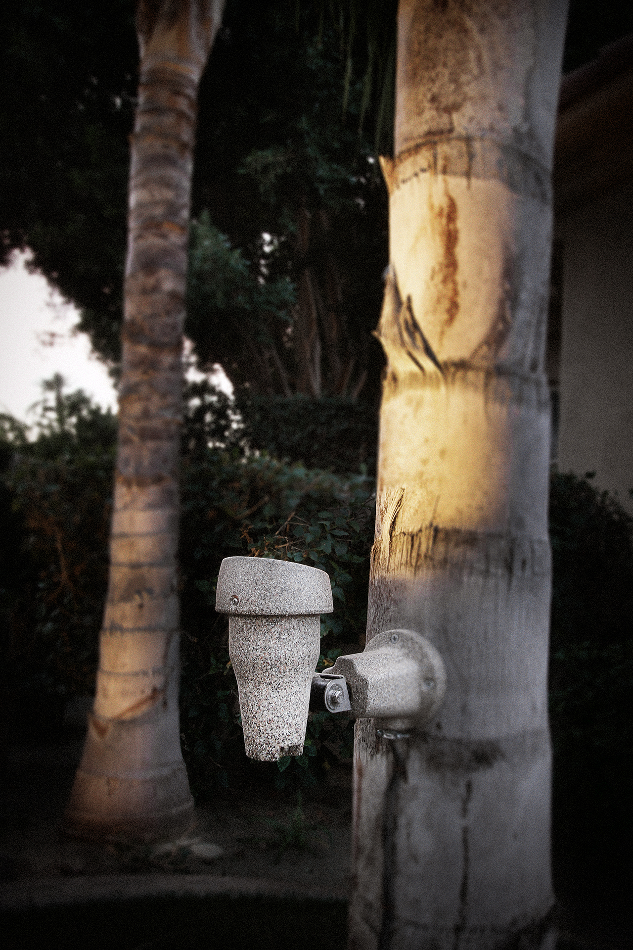 Palm Tree Mount (mount only) - Image 2