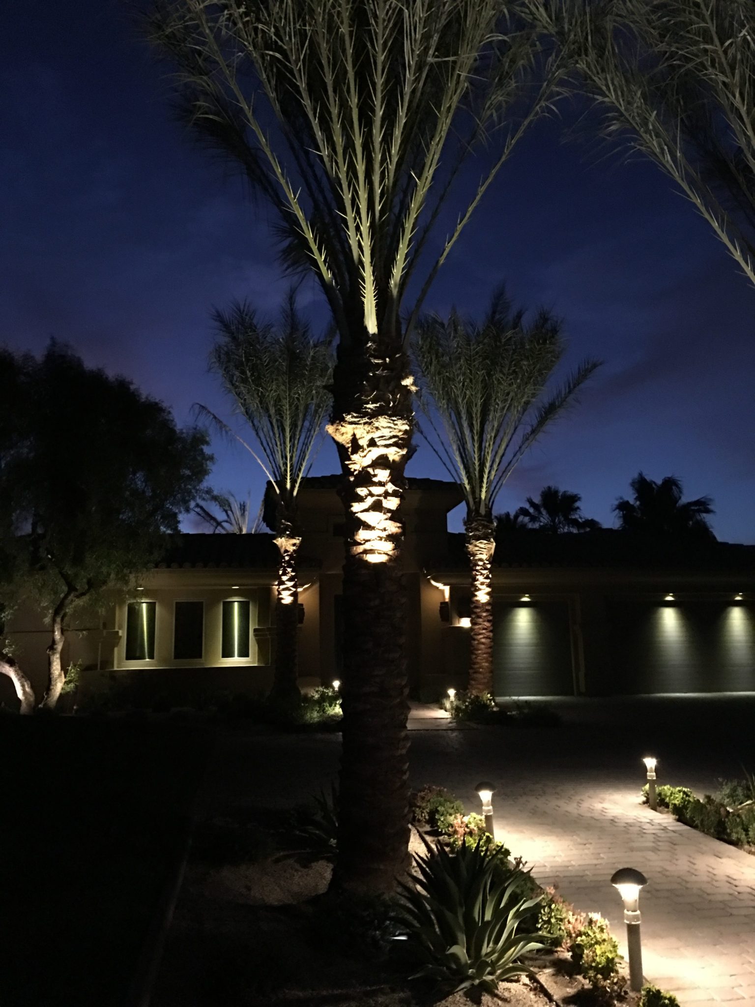 Palm Tree Mount (mount only) - Image 3