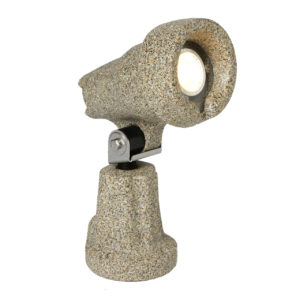 palm tree spot light