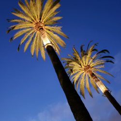 IMG_5769